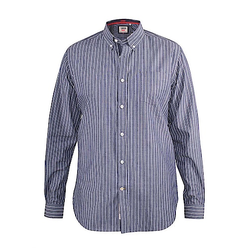 D555 Frankston Stripe Long Sleeve Button Down Shirt