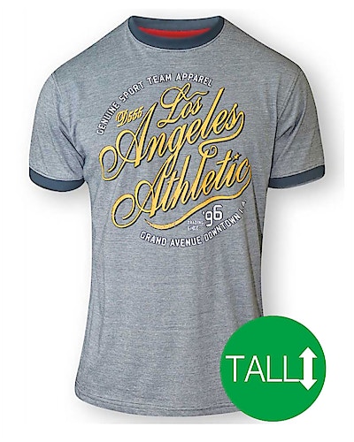 D555 Irvin ' Los Angeles Athletic' Print T-Shirt - Grey Tall