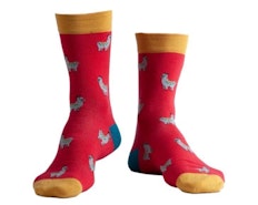 Doris & Dude Llama Print Socks Red