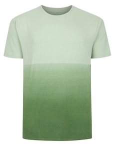 Bigdude Ombre T-Shirt Green Tall