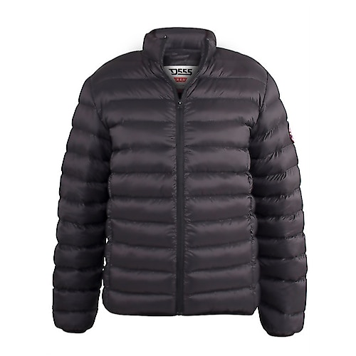 D555 Paxton Padded Hooded Black