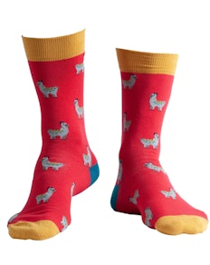 Doris & Dude Llama Socks Red