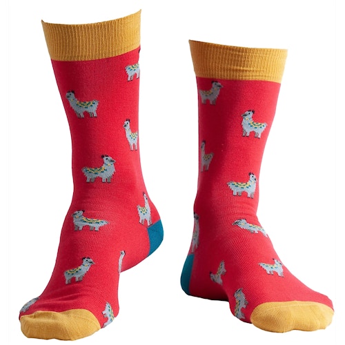 Doris & Dude Llama Socks Red