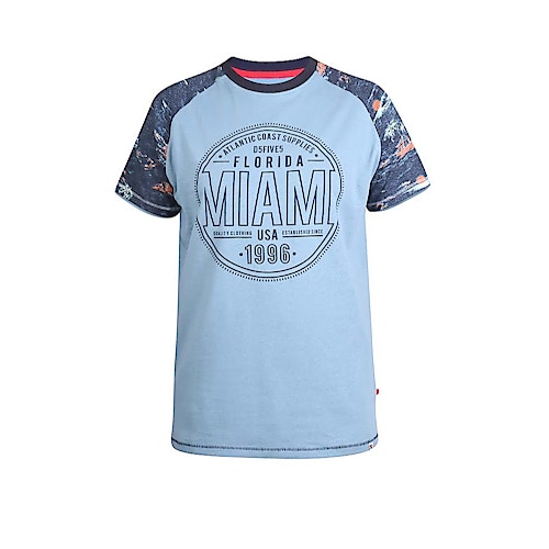D555 Miami Print Raglan T-Shirt Türkis 