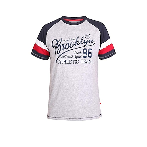 D555 Brooklyn Print Raglan T-Shirt Grau