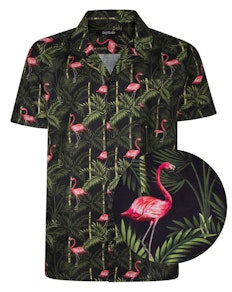 Bigdude Relaxed Collar All Over Flamingo Print Woven Short Sleeve Shirt Black Tall