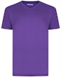 VNeck TShirt Purple Tall