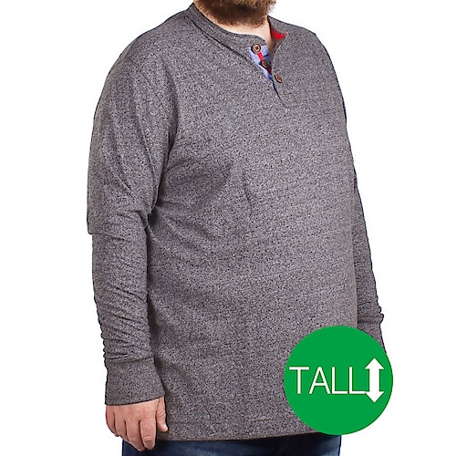 D555 Davy Langärmeliges Sweatshirt Grau - Tall Collection