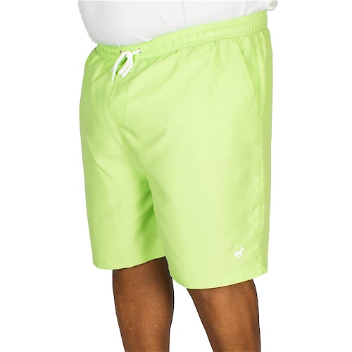 Bigdude Plain Swim Shorts Green