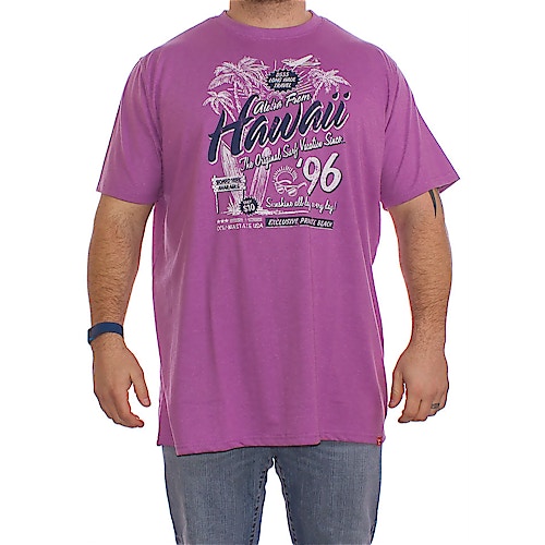 D555 Ashley "Aloha From Hawaii" Pink T-Shirt