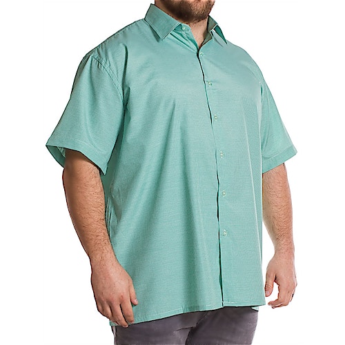 Fitzgerald Lewis Short Sleeve Green Fine Check Shirt
