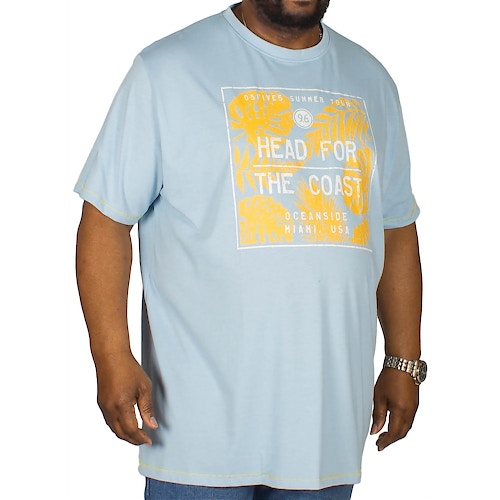 D555 bedrucktes T-Shirt Arizona Hellblau