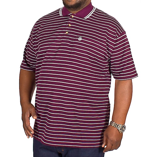 Brooklyn Lucas Stripe Polo Shirt Purple