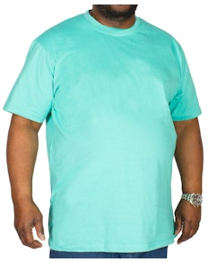 Bigdude Plain Crew Neck T-Shirt Turquoise
