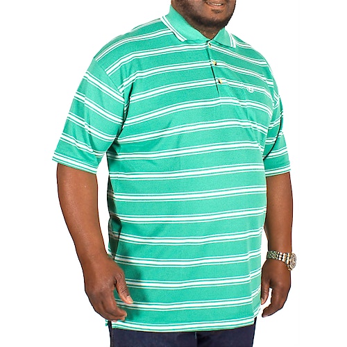 Brooklyn Adam Stripe Polo Shirt Green