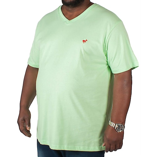 Bigdude Signature T-Shirt mit V-Ausschnitt Grün