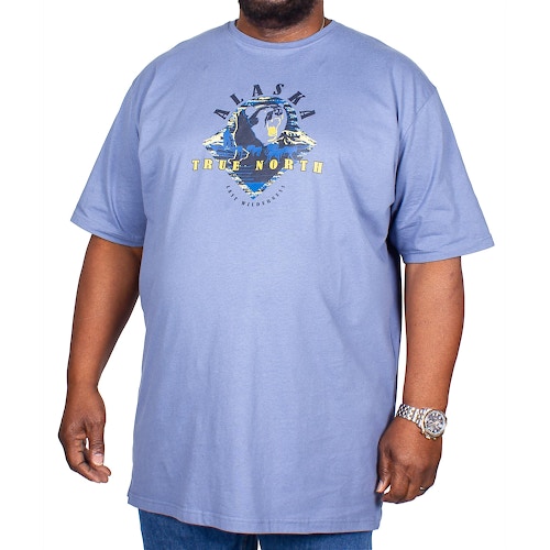 Metaphor Alaska Print T-Shirt Blau