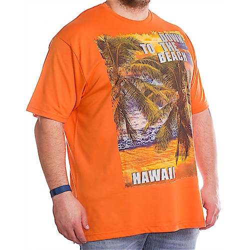 Louie James Hawaii Print T-Shirt