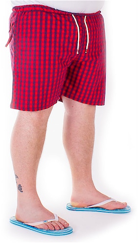 Cotton Valley Red Check Swim Shorts