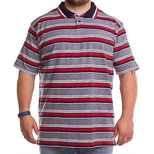Cotton Valley Engineered Stripe Polo Shirt Red