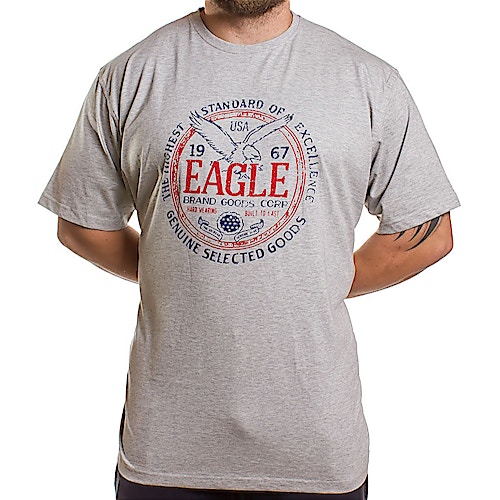 Espionage Grey USA Eagle T-Shirt
