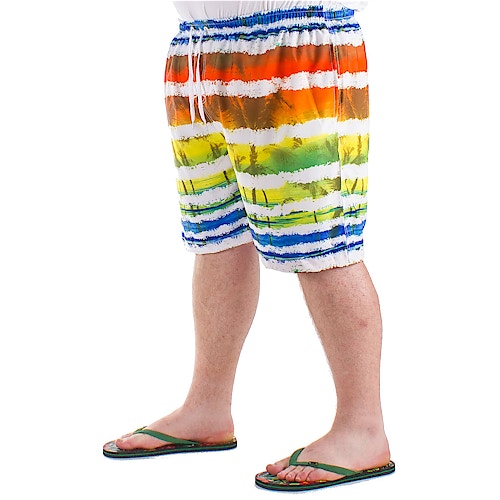 Ed Baxter Maui Swimming Shorts