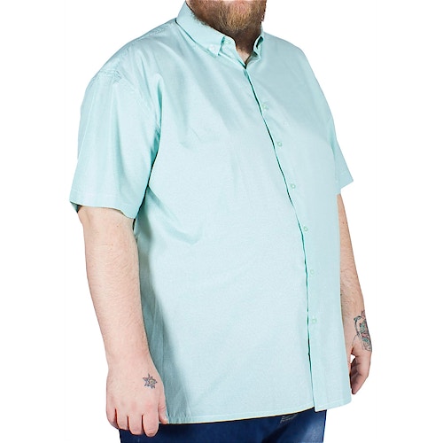 Fitzgerald Spain Short Sleeve Striped Shirt Green
