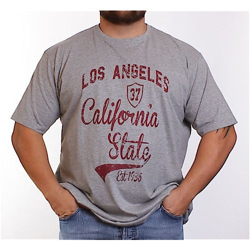Espionage Grey Los Angeles T-Shirt