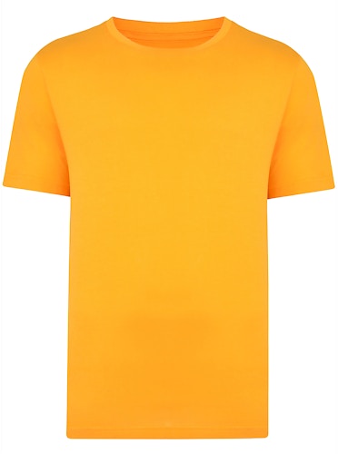 Bigdude Plain Crew Neck T-Shirt Orange