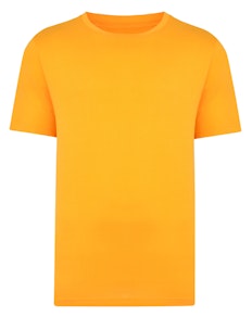 Bigdude Plain Crew Neck T-Shirt Orange
