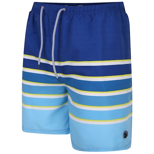 Espionage Stripe Swim Shorts Blue
