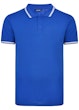 Polo Shirt Royal Blue Tall