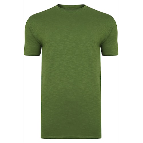 Bigdude Vintage T-Shirt Kaktusgrün 